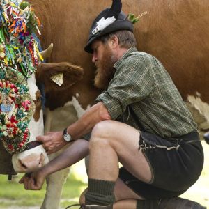 Fütterung im Salzburgerland