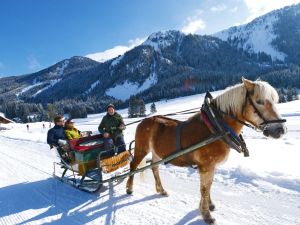 Pferdeschlittenfahrt in Forstau