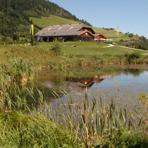 Golfen in Lungau