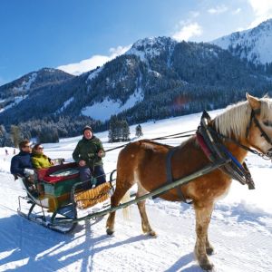 Kutschenfahrt in Forstau bei Radstadt